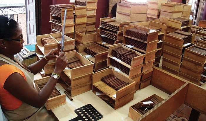 Handledare granskar arbetet för varje Torcedor | Kvalitetskontroll | Om kubanska cigarrer