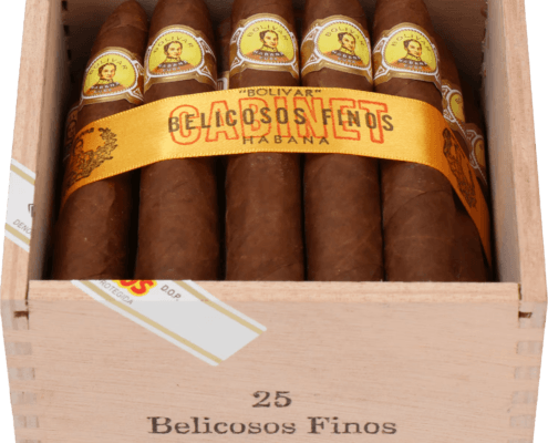 Bolivar | Belicosos Finos (SLB)