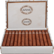 Rafael González | Petit Coronas