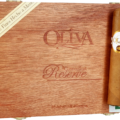 Oliva | Connecticut Reserve Robusto