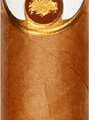 Oliva | Connecticut Reserve Robusto