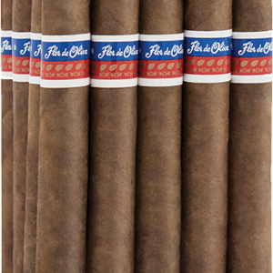 Oliva | Flor de Oliva Robusto
