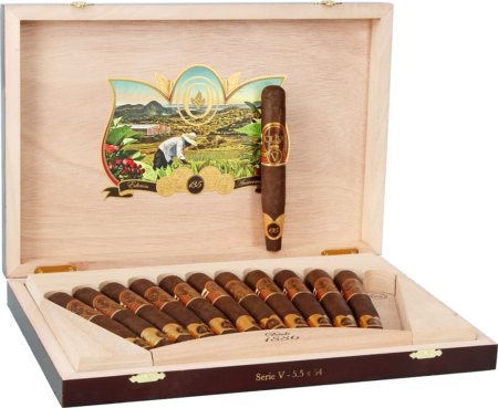 Oliva | Serie V 135 Aniversario