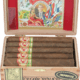 Arturo Fuente | Gran Reserva Flor Fina 8-5-8 (Natural)