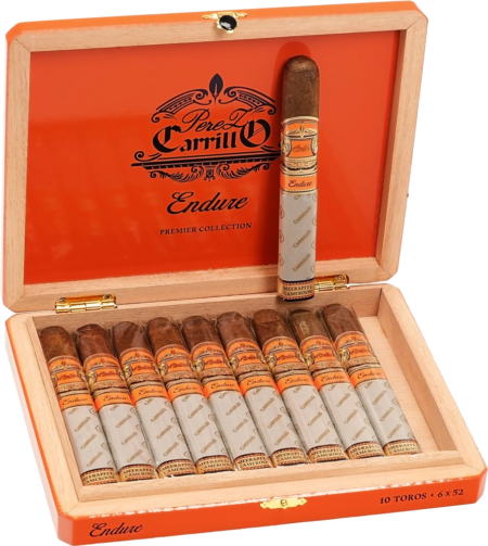 E.P. Carillo | Endure Toro
