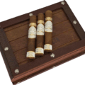 Plasencia | Reserva Original Robusto